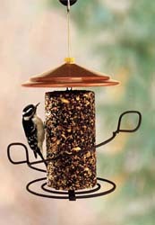 Seed Cylinder Feeder